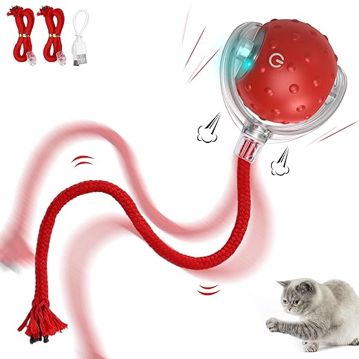 Smart Self-Moving Cat Toy Ball — Interactive LED Rolling Ball with Tail