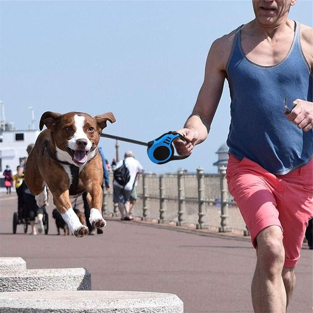 500 cm Dog & Cat Strap Leash